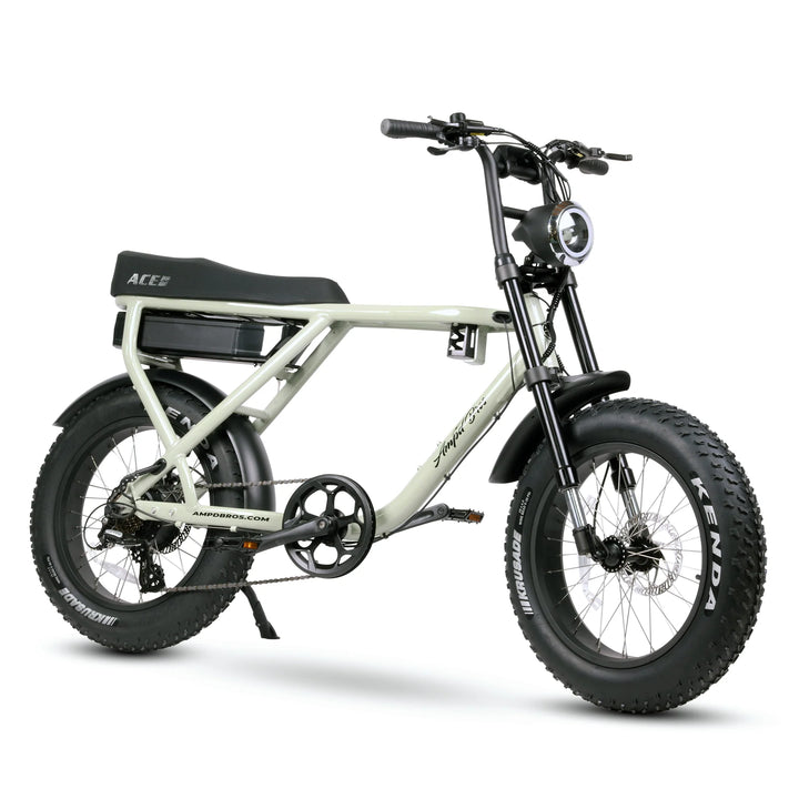 ACE-X Plus+ Electric Bike